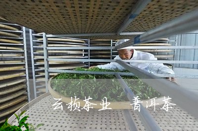 云桢茶业 普洱茶/2023041091606